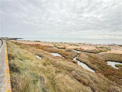 SEAWICK SEA FRONT